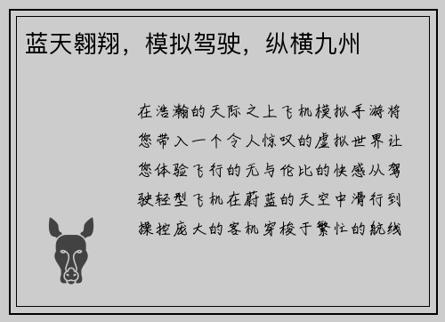 蓝天翱翔，模拟驾驶，纵横九州